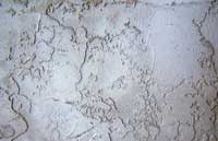Wet Texture